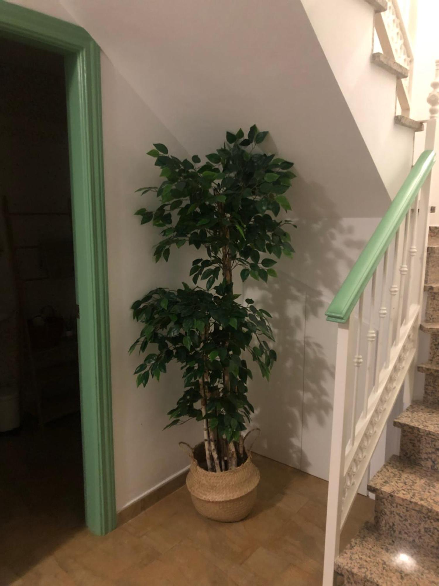 Duplex Penthouse "Playa Y Palmeras" Benalmadena Bagian luar foto